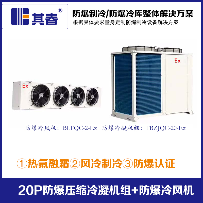 20P防爆压缩机机组